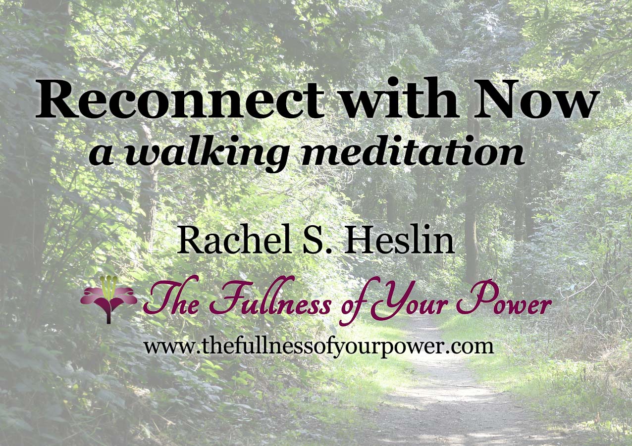 Reconnect with Now: a walking meditation