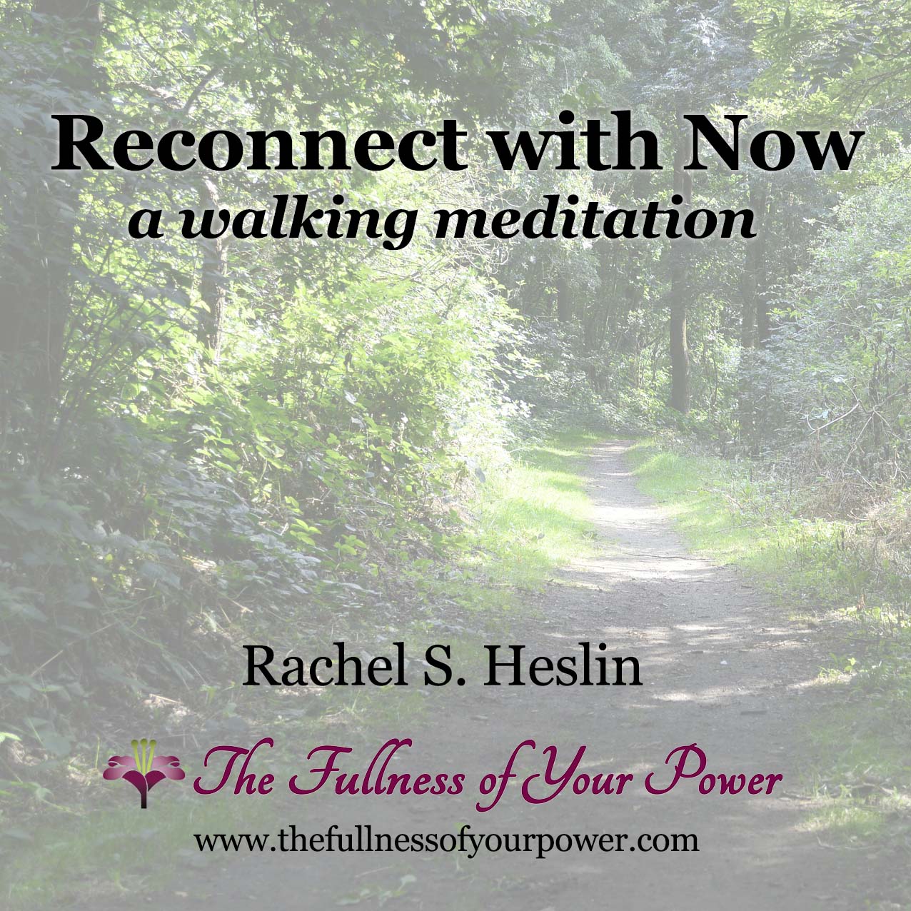 Reconnect with Now: a walking meditation