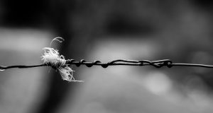 Twisted wire and thread representing how generations of pain are connected