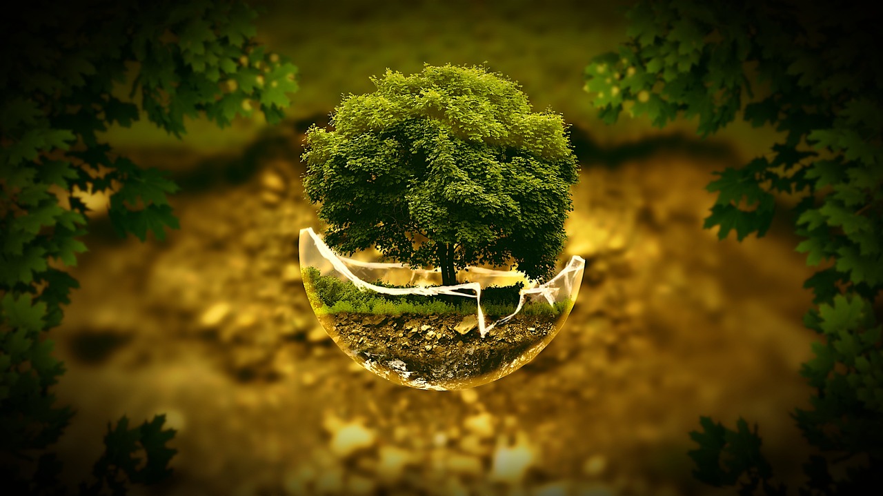 Photo of a tree inside a broken glass globe.